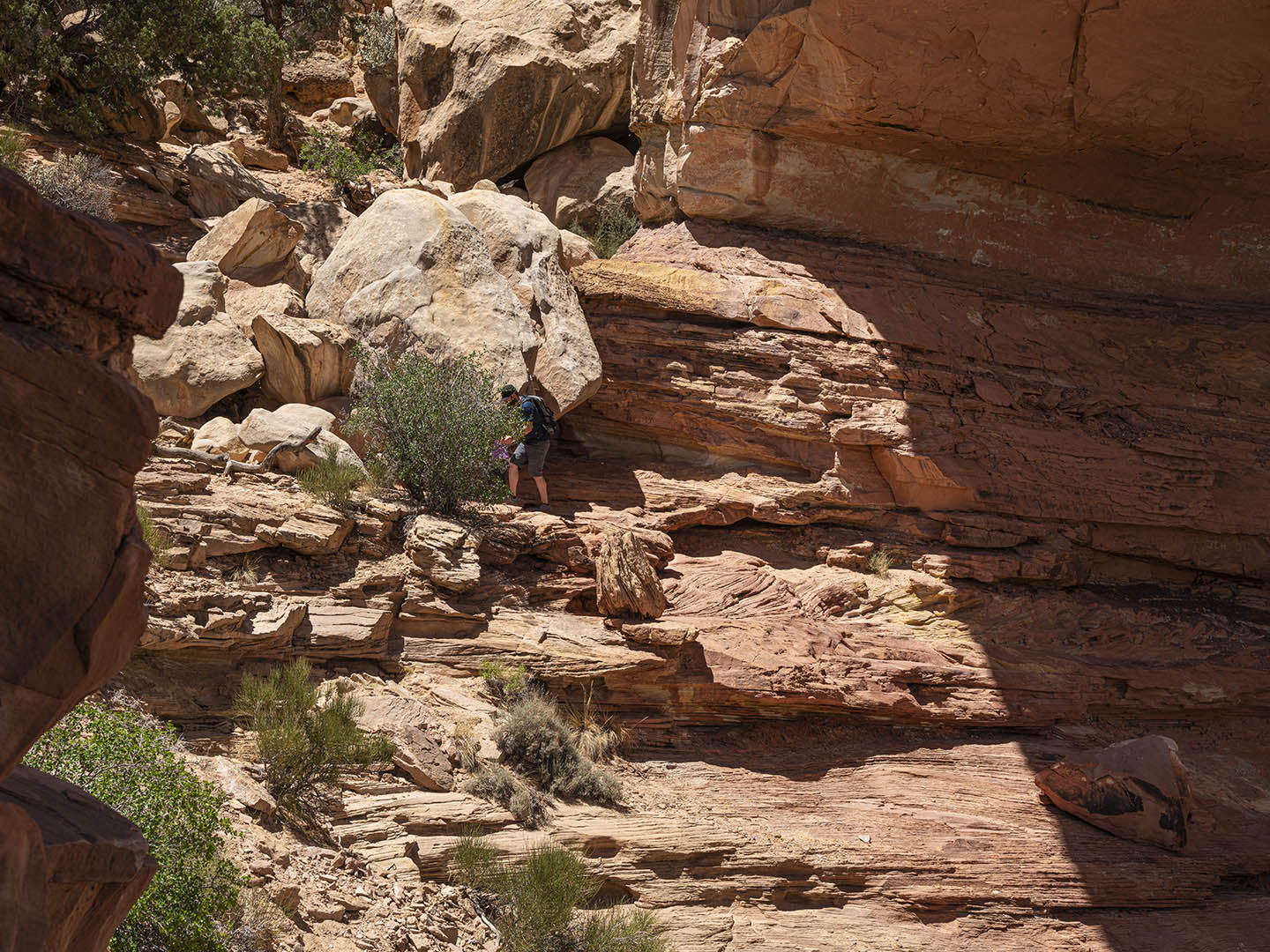 The Benefits of Unplugging and Going Outdoors In Utah